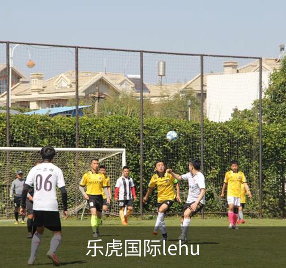 走进乐虎国际lehu